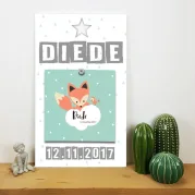 geboortebord met naam datum en geboortekaartje